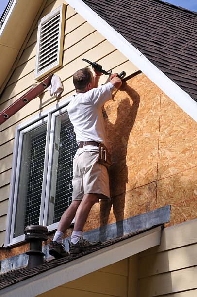 Best Brick Veneer Siding  in Hawkinsville, GA